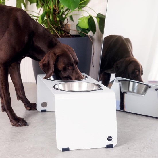 Jaska ARC Dog Bar Raised Feeding Station Stainless Steel and Steel (Grey, XL) Jaska ARC Dog Bar Raised Feeding Station Stainless Steel and Steel (Grey, XL)