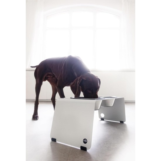 Jaska ARC Dog Bar Raised Feeding Station Stainless Steel and Steel (Grey, XL) Jaska ARC Dog Bar Raised Feeding Station Stainless Steel and Steel (Grey, XL)