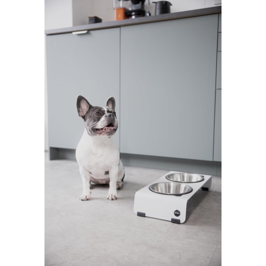 Jaska ARC Dog Bar Raised Feeding Station Stainless Steel and Steel (Grey, XL) Jaska ARC Dog Bar Raised Feeding Station Stainless Steel and Steel (Grey, XL)