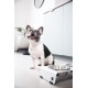 Jaska Raised Dog Bowl, 2 Sizes, 3 Colours