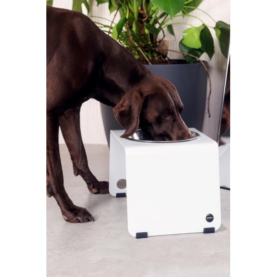 Jaska Raised Dog Bowl, 2 Sizes, 3 Colours Jaska Raised Dog Bowl, 2 Sizes, 3 Colours