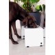 Jaska Raised Dog Bowl, 2 Sizes, 3 Colours