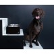 Jaska Raised Dog Bowl, 2 Sizes, 3 Colours