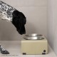 Jaska Raised Dog Bowl, 2 Sizes, 3 Colours