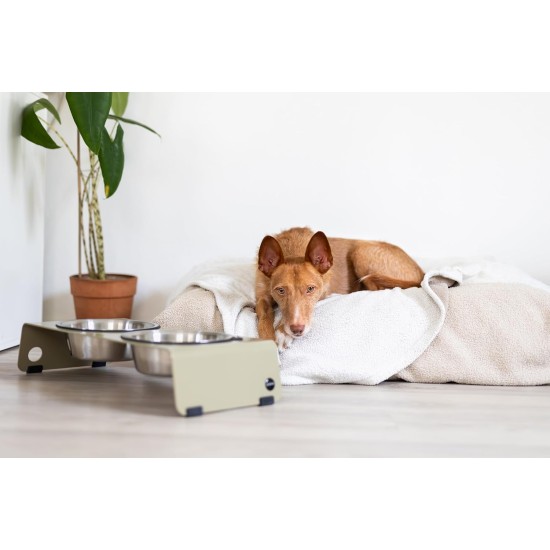 Jaska Raised Dog Bowl, 2 Sizes, 3 Colours Jaska Raised Dog Bowl, 2 Sizes, 3 Colours