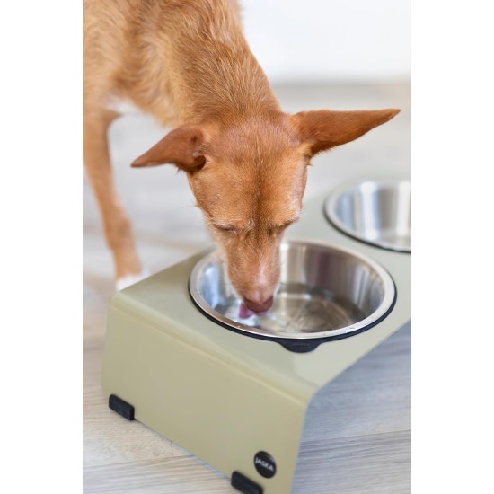 Jaska Raised Dog Bowl, 2 Sizes, 3 Colours Jaska Raised Dog Bowl, 2 Sizes, 3 Colours