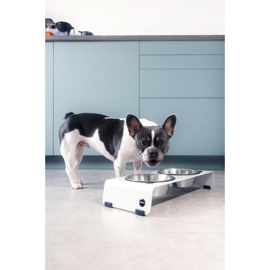 Jaska Raised Dog Bowl, 2 Sizes, 3 Colours Jaska Raised Dog Bowl, 2 Sizes, 3 Colours