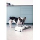 Jaska Raised Dog Bowl, 2 Sizes, 3 Colours