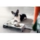 Jaska Raised Dog Bowl, 2 Sizes, 3 Colours