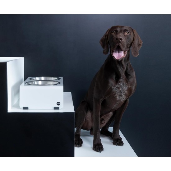 Jaska Raised Dog Bowl, 2 Sizes, 3 Colours Jaska Raised Dog Bowl, 2 Sizes, 3 Colours