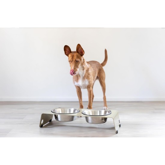 Jaska Raised Dog Bowl, 2 Sizes, 3 Colours Jaska Raised Dog Bowl, 2 Sizes, 3 Colours