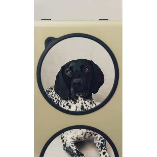 Jaska Raised Dog Bowl, 2 Sizes, 3 Colours Jaska Raised Dog Bowl, 2 Sizes, 3 Colours