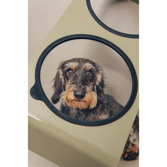 Jaska Raised Dog Bowl, 2 Sizes, 3 Colours Jaska Raised Dog Bowl, 2 Sizes, 3 Colours
