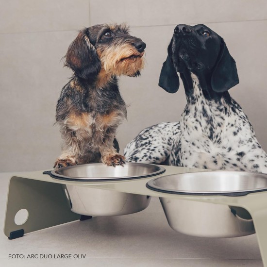 Jaska Raised Dog Bowl, 2 Sizes, 3 Colours Jaska Raised Dog Bowl, 2 Sizes, 3 Colours