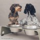 Jaska Raised Dog Bowl, 2 Sizes, 3 Colours