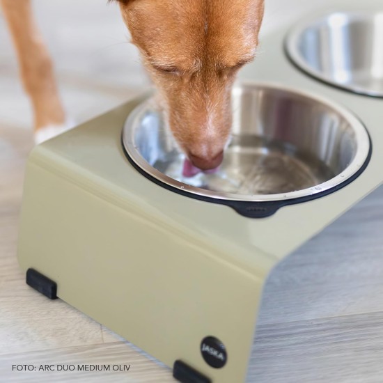 Jaska Raised Dog Bowl, 2 Sizes, 3 Colours Jaska Raised Dog Bowl, 2 Sizes, 3 Colours