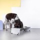 Jaska Raised Dog Bowl, 2 Sizes, 3 Colours