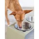 Jaska Raised Dog Bowl, 2 Sizes, 3 Colours