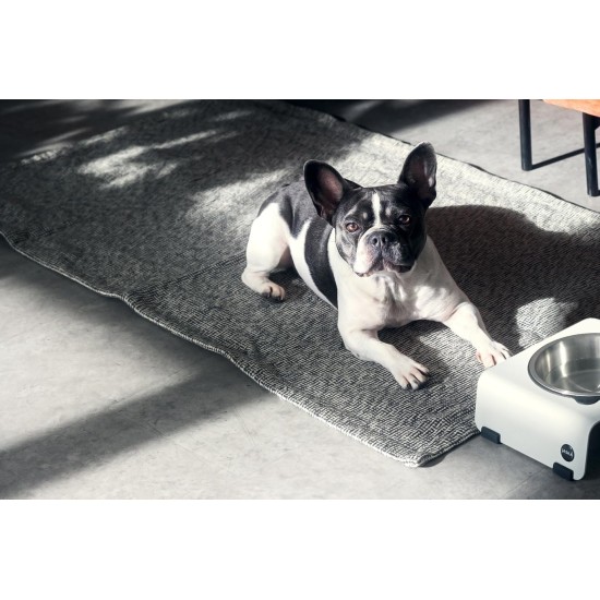 Jaska Raised Dog Bowl, 2 Sizes, 3 Colours Jaska Raised Dog Bowl, 2 Sizes, 3 Colours