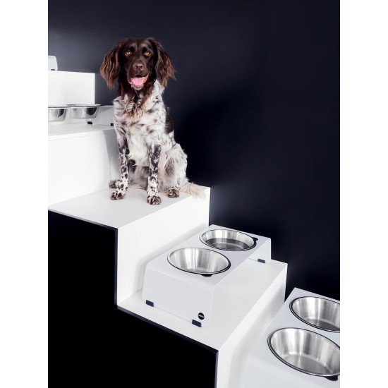 Jaska Raised Dog Bowl, 2 Sizes, 3 Colours Jaska Raised Dog Bowl, 2 Sizes, 3 Colours