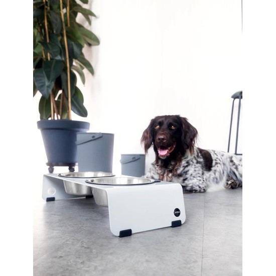 Jaska Raised Dog Bowl, 2 Sizes, 3 Colours Jaska Raised Dog Bowl, 2 Sizes, 3 Colours