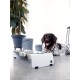 Jaska Raised Dog Bowl, 2 Sizes, 3 Colours