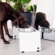 Jaska Raised Dog Bowl, 2 Sizes, 3 Colours