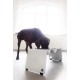 Jaska Raised Dog Bowl, 2 Sizes, 3 Colours