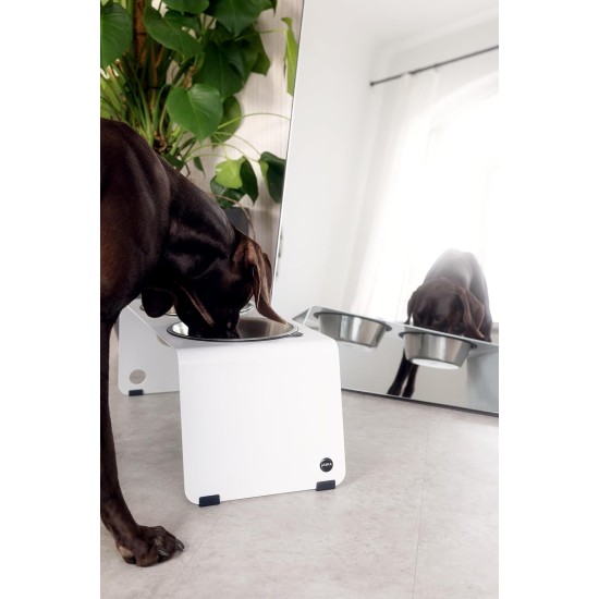 Jaska Raised Dog Bowl, 2 Sizes, 3 Colours Jaska Raised Dog Bowl, 2 Sizes, 3 Colours