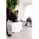 Jaska Raised Dog Bowl, 2 Sizes, 3 Colours