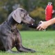 KONG H2O Insulated Water Bottle and Travel Bowl 750ml Blue KONG H2O Insulated Water Bottle and Travel Bowl 750ml Blue