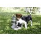 Kerbl Nuvola Water Dispenser, 3.8 Litre Kerbl Nuvola Water Dispenser, 3.8 Litre