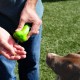 Kibble Bubble Dog Treat Bag Silicone Small Training Bag Portable Waterproof Outdoor Purple Bone Kibble Bubble Dog Treat Bag Silicone Small Training Bag Portable Waterproof Outdoor Purple Bone