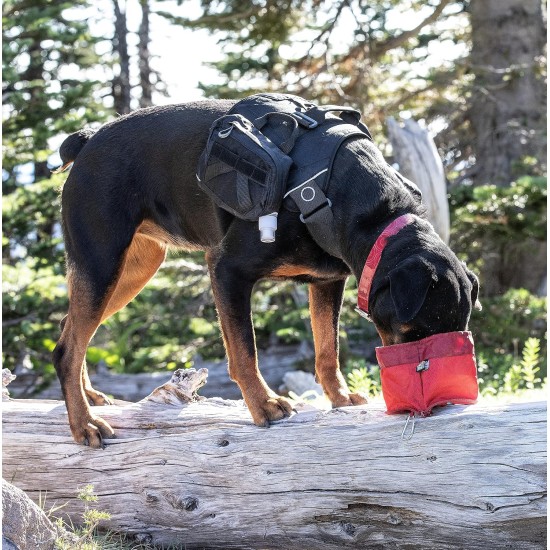 Kurgo Collapsible Dog Food and Water Bowl with Carabiner Hook and Clasp 1.4L Capacity Blue Kurgo Collapsible Dog Food and Water Bowl with Carabiner Hook and Clasp 1.4L Capacity Blue