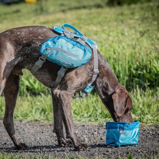 Kurgo Collapsible Dog Food and Water Bowl with Carabiner Hook and Clasp 1.4L Capacity Blue Kurgo Collapsible Dog Food and Water Bowl with Carabiner Hook and Clasp 1.4L Capacity Blue