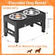 LAKIPETN Elevated Dog Bowls with 2 Stainless Steel Feeding Bowls Stand 5 Height Adjustable Raised Dog Bowl Adjustable to 3.1" 9" 10" No Spill for Small Dogs Medium/Large Dogs LAKIPETN Elevated Dog Bowls with 2 Stainless Steel Feeding Bowls Stand 5 Height Adjustable Raised Dog Bowl Adjustable to 3.1" 9" 10" No Spill for Small Dogs Medium/Large Dogs