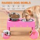 LAKIPETN Elevated Dog Bowls with 2 Stainless Steel Feeding Bowls Stand 5 Height Adjustable Raised Dog Bowl Adjustable to 3.1" 9" 10" No Spill for Small Dogs Medium/Large Dogs LAKIPETN Elevated Dog Bowls with 2 Stainless Steel Feeding Bowls Stand 5 Height Adjustable Raised Dog Bowl Adjustable to 3.1" 9" 10" No Spill for Small Dogs Medium/Large Dogs