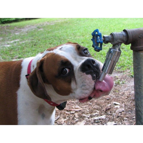 Lixit Original Dog Faucet Waterer Lixit Original Dog Faucet Waterer