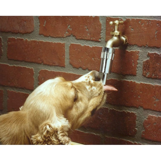 Lixit Original Dog Faucet Waterer Lixit Original Dog Faucet Waterer