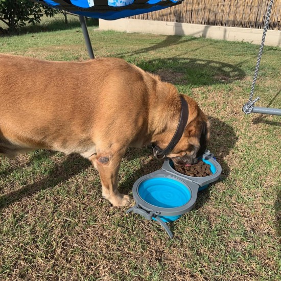Loving Pets Bella Roma Travel Double Dog Feeder Medium Travel Double Diner, Blue Loving Pets Bella Roma Travel Double Dog Feeder Medium Travel Double Diner, Blue