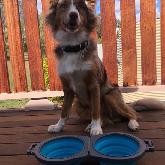 Loving Pets Bella Roma Travel Double Dog Feeder Medium Travel Double Diner, Blue Loving Pets Bella Roma Travel Double Dog Feeder Medium Travel Double Diner, Blue