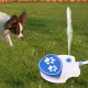 MENDUNER Dog Sprinkler for Outdoor Use, Dog Water Fountain, Step On Activated Dog Water Dispenser, Dog Sprinkler, Drinking Water Dispenser with Hose, Dog Water Toy MENDUNER Dog Sprinkler for Outdoor Use, Dog Water Fountain, Step On Activated Dog Water Dispenser, Dog Sprinkler, Drinking Water Dispenser with Hose, Dog Water Toy