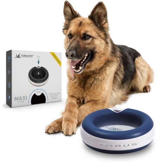 Maxi Filtered Water Bowl (Blue) - 2 Litre - Home & Travel Bowl - Autofill - No Leaks - Antimicrobial - BPA Free - Dog - Cat Maxi Filtered Water Bowl (Blue) - 2 Litre - Home & Travel Bowl - Autofill - No Leaks - Antimicrobial - BPA Free - Dog - Cat