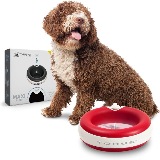 Maxi Filtered Water Bowl (Blue) - 2 Litre - Home & Travel Bowl - Autofill - No Leaks - Antimicrobial - BPA Free - Dog - Cat Maxi Filtered Water Bowl (Blue) - 2 Litre - Home & Travel Bowl - Autofill - No Leaks - Antimicrobial - BPA Free - Dog - Cat