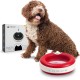 Maxi Filtered Water Bowl (Blue) - 2 Litre - Home & Travel Bowl - Autofill - No Leaks - Antimicrobial - BPA Free - Dog - Cat Maxi Filtered Water Bowl (Blue) - 2 Litre - Home & Travel Bowl - Autofill - No Leaks - Antimicrobial - BPA Free - Dog - Cat