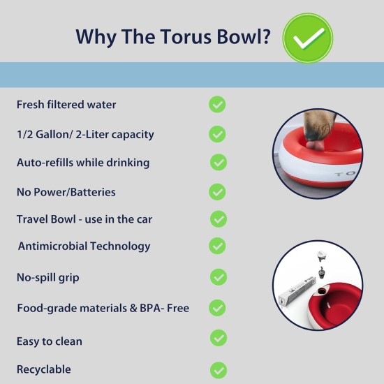 Maxi Filtered Water Bowl (Blue) - 2 Litre - Home & Travel Bowl - Autofill - No Leaks - Antimicrobial - BPA Free - Dog - Cat Maxi Filtered Water Bowl (Blue) - 2 Litre - Home & Travel Bowl - Autofill - No Leaks - Antimicrobial - BPA Free - Dog - Cat