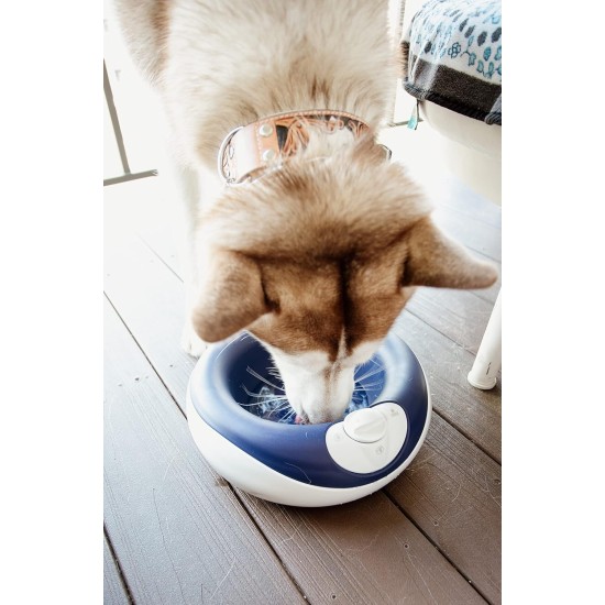 Maxi Filtered Water Bowl (Blue) - 2 Litre - Home & Travel Bowl - Autofill - No Leaks - Antimicrobial - BPA Free - Dog - Cat Maxi Filtered Water Bowl (Blue) - 2 Litre - Home & Travel Bowl - Autofill - No Leaks - Antimicrobial - BPA Free - Dog - Cat