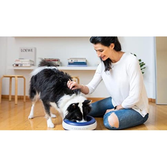 Maxi Filtered Water Bowl (Blue) - 2 Litre - Home & Travel Bowl - Autofill - No Leaks - Antimicrobial - BPA Free - Dog - Cat Maxi Filtered Water Bowl (Blue) - 2 Litre - Home & Travel Bowl - Autofill - No Leaks - Antimicrobial - BPA Free - Dog - Cat