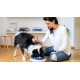 Maxi Filtered Water Bowl (Blue) - 2 Litre - Home & Travel Bowl - Autofill - No Leaks - Antimicrobial - BPA Free - Dog - Cat Maxi Filtered Water Bowl (Blue) - 2 Litre - Home & Travel Bowl - Autofill - No Leaks - Antimicrobial - BPA Free - Dog - Cat