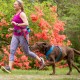 Motivation Design, LLC K9 Excursion Dog Running Belt Motivation Design, LLC K9 Excursion Dog Running Belt